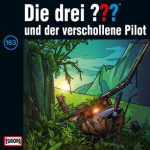 die drei fragezeichen und der verschollene pilot